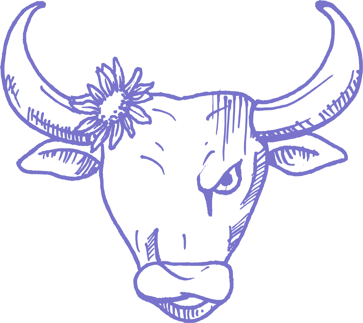 Toro